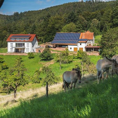 Gruenewaldhof In Rimbach Im Odenwald Apartment Екстериор снимка