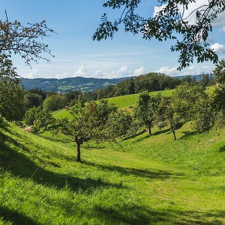 Gruenewaldhof In Rimbach Im Odenwald Apartment Екстериор снимка