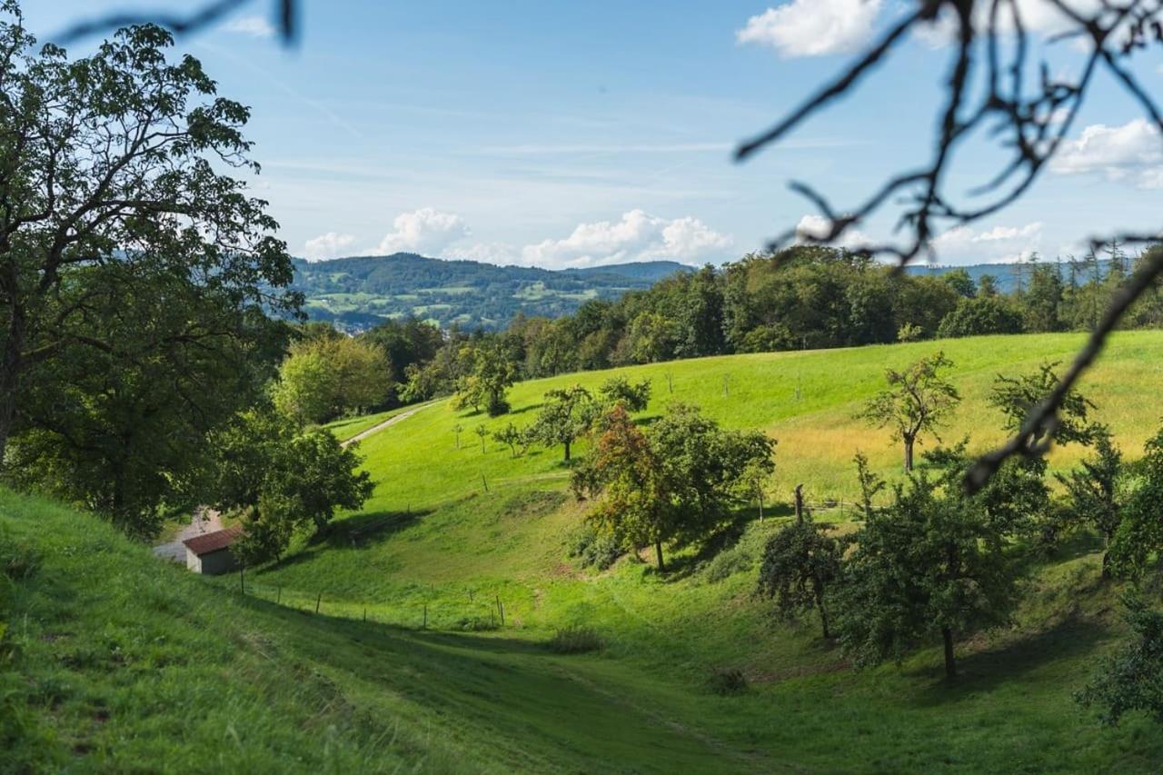 Gruenewaldhof In Rimbach Im Odenwald Apartment Екстериор снимка