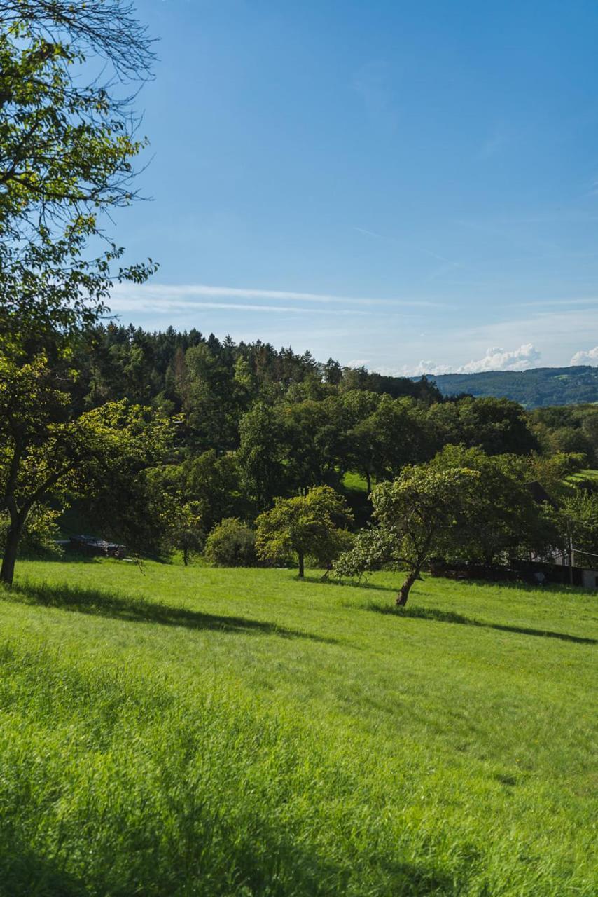 Gruenewaldhof In Rimbach Im Odenwald Apartment Екстериор снимка